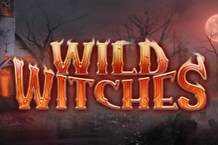 Wild Witches Wild Witches
