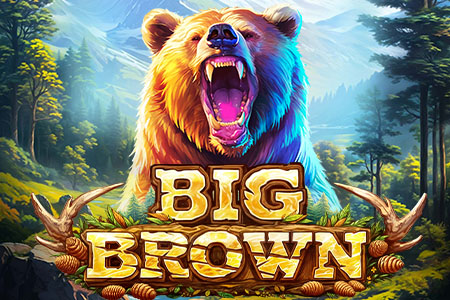 Big Brown Big Brown