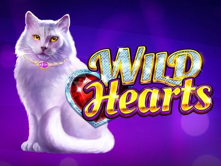 Wild Hearts Wild Hearts