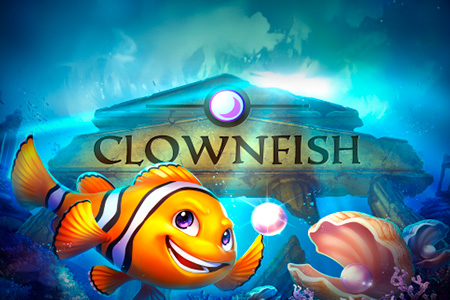 Clown Fish Clown Fish