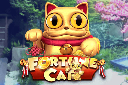 Fortune Cat Fortune Cat