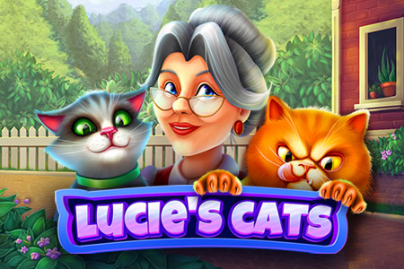 Lucie's cats