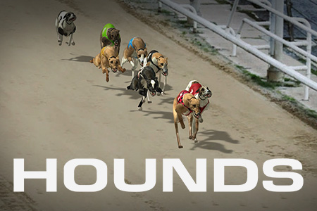 Hounds Hounds
