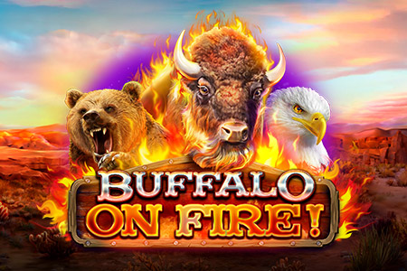 Buffalo on Fire