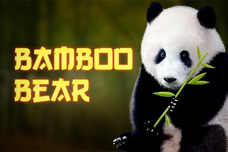 Bamboo Bear Bamboo Bear