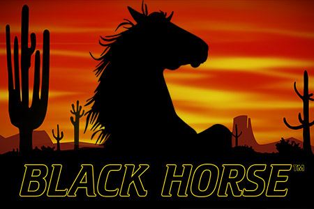 Black Horse Black Horse
