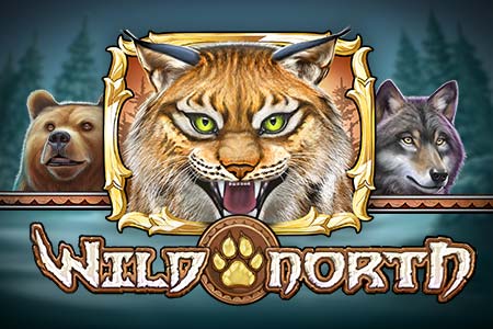 Wild North