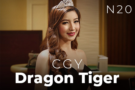 CGY Dragon Tiger N20