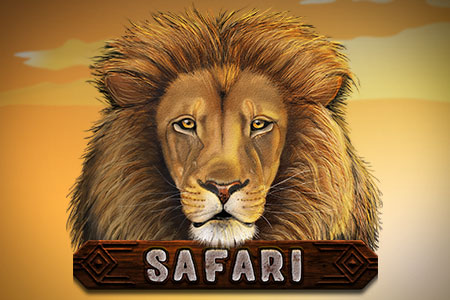 Safari Safari