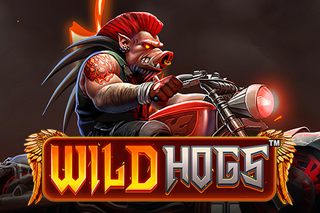 Wild Hogs