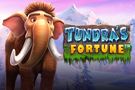 Tundra's Fortune