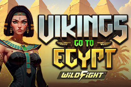 Vikings Go To Egypt Wild Fight