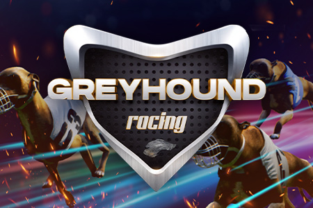 Greyhound Racing