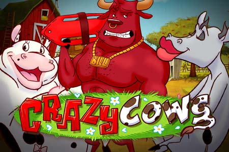 Crazy Cows