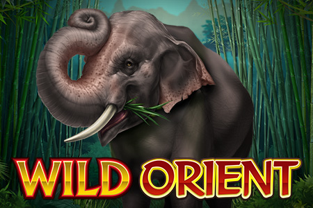 Wild Orient