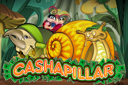 Cashapillar