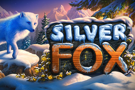 Silver Fox