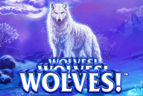 WOLVES WOLVES WOLVES