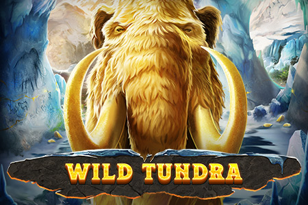 Wild Tundra