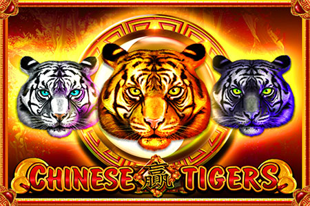 Chinese Tigers