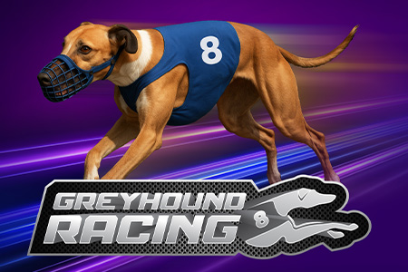 8 Greyhound Racing