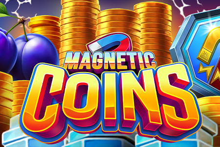 Magnetic Coins Dice