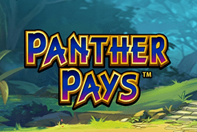 Panther Pays