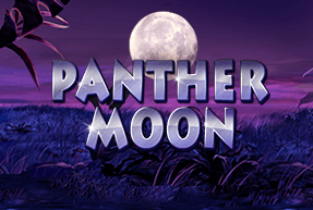 Panther Moon