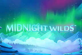 Midnight Wilds