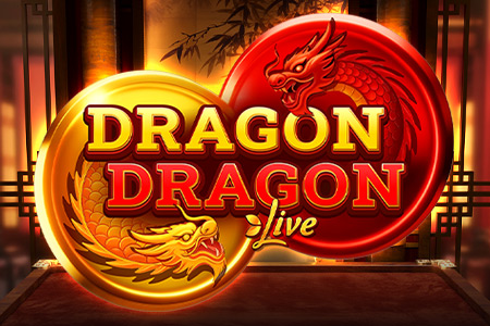 Dragon Dragon