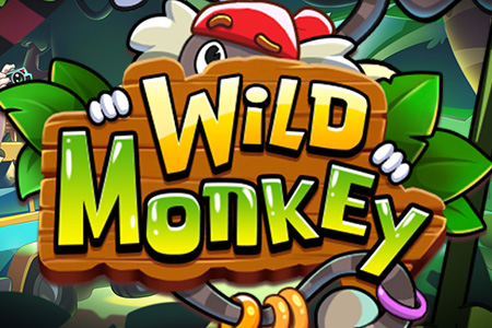 Wild Monkey