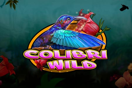 Colibri Wild