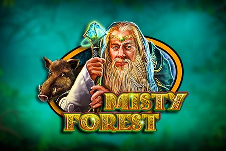 Misty Forest