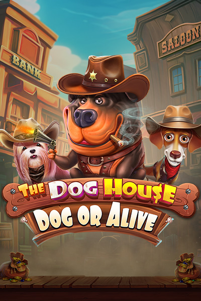 Trino Casino - Play slots, get bonuses at the best online casino