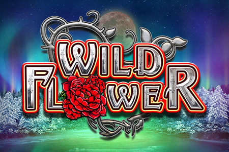 Wild Flower