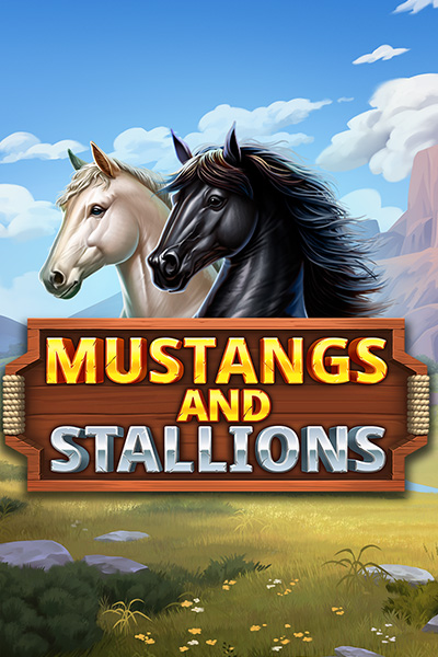 Mustangs and Stallions