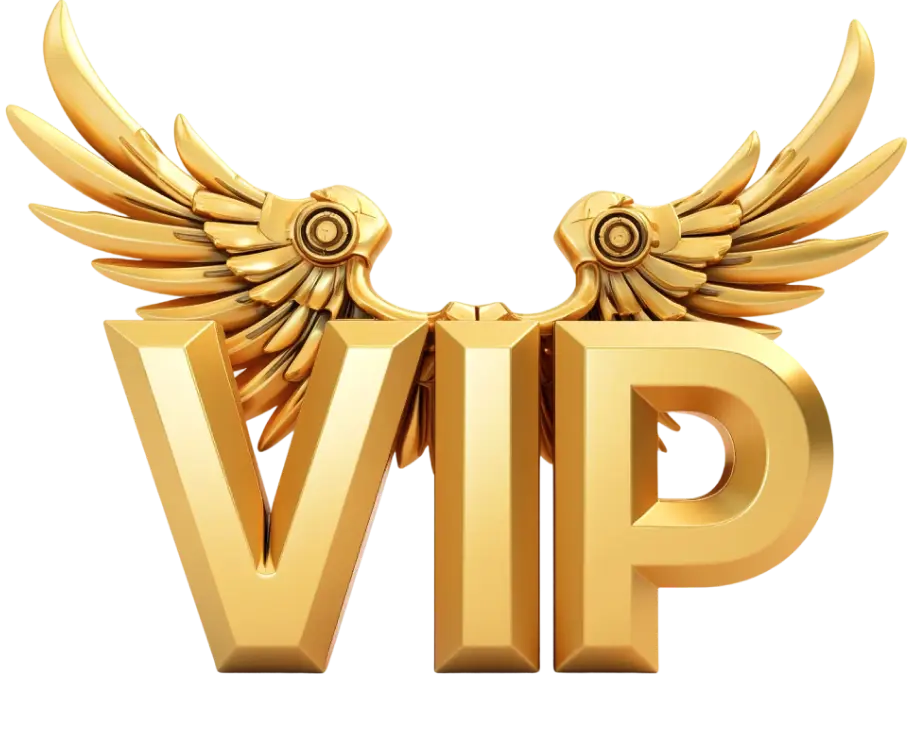 VIP Transfer Program