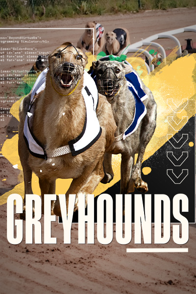 Dog H.Odds On Demand