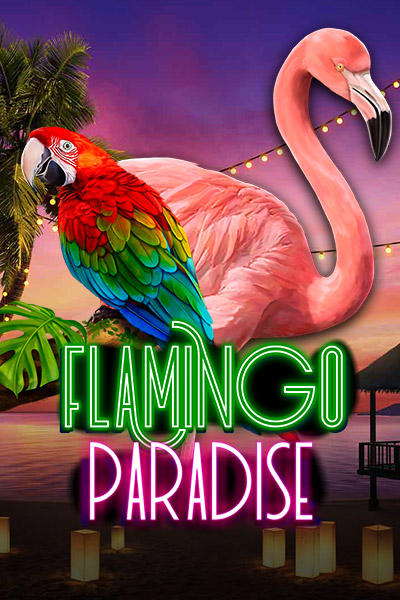 Flamingo Paradise