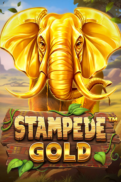 Stampede Gold