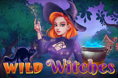 Wild Witches Wild Witches