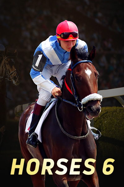 Horses 6 On Demand