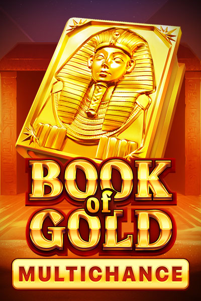 Book of Gold Multichance