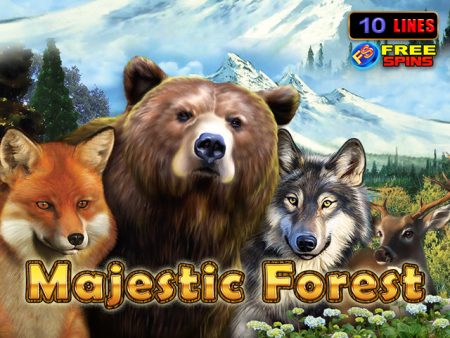 Majestic Forest Majestic Forest