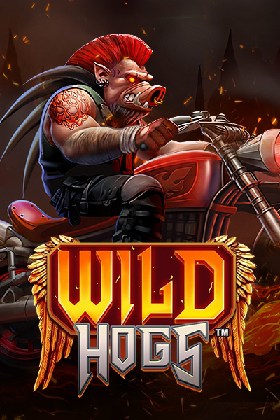 Wild Hogs