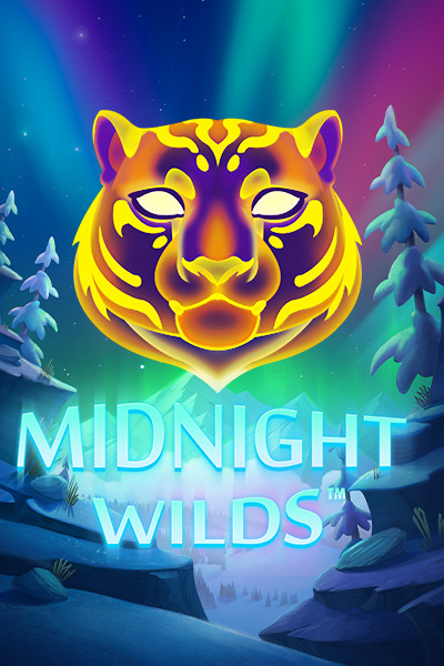 Midnight Wilds Midnight Wilds