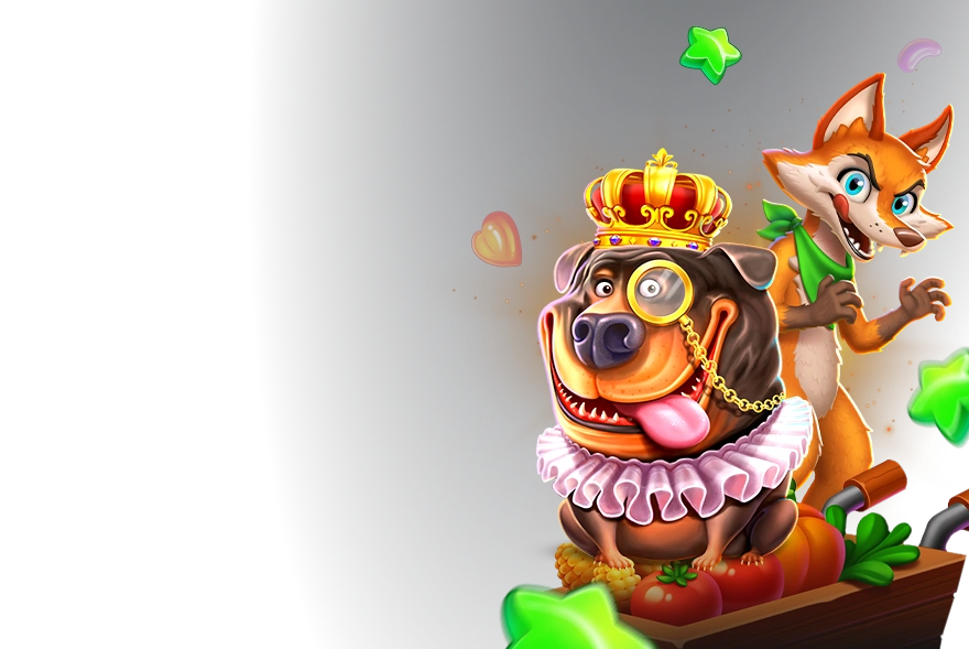 tournament banner