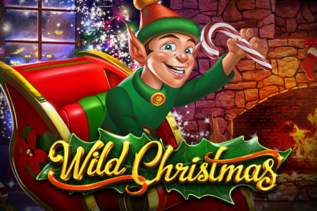 Wild Christmas