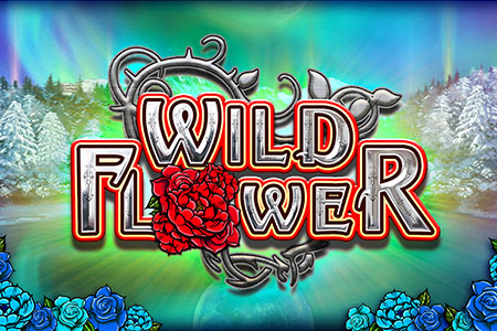 Wild Flower