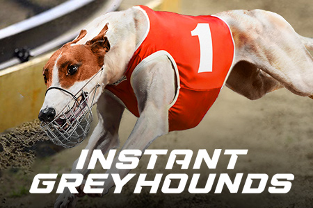 Instant Greyhounds